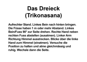 Signage Design by Pink Penguin for Verkehrsverein Trin | Design: #14589495