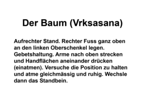 Signage Design by Pink Penguin for Verkehrsverein Trin | Design: #14589496