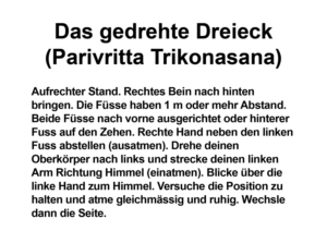 Signage Design by Pink Penguin for Verkehrsverein Trin | Design: #14589497