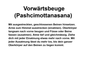 Signage Design by Pink Penguin for Verkehrsverein Trin | Design: #14589521