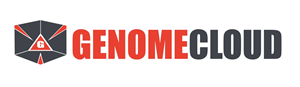 Logo Design by Magmile