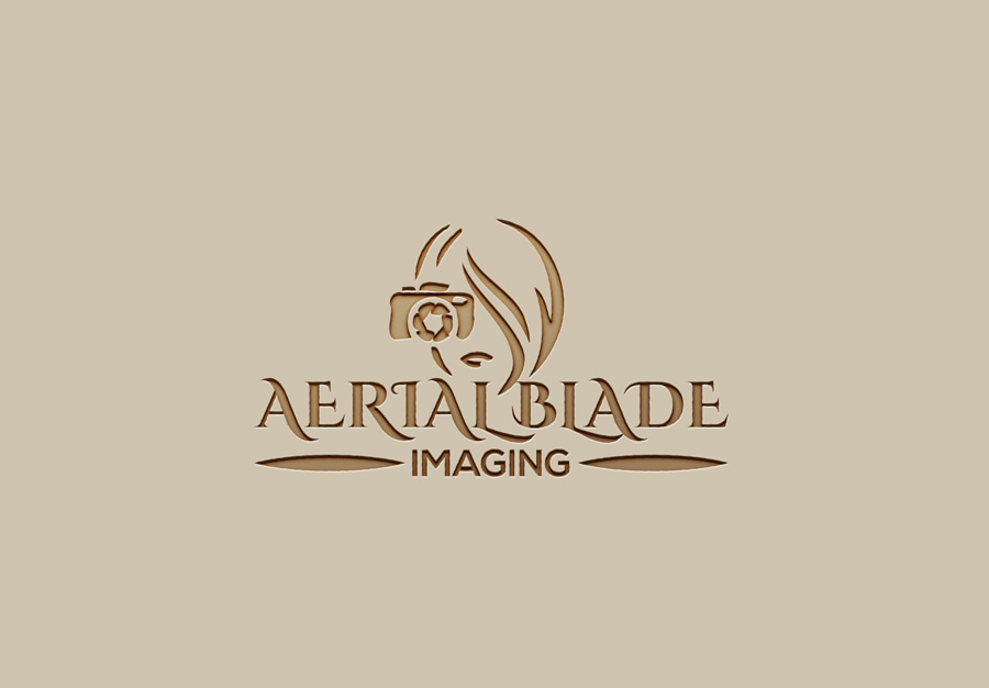 Logo Design by AbuBackar for Aerial Blade Imaging | Design #14519111