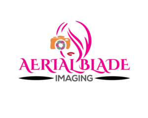 Logo-Design von AbuBackar für Aerial Blade Imaging | Design: #14519113