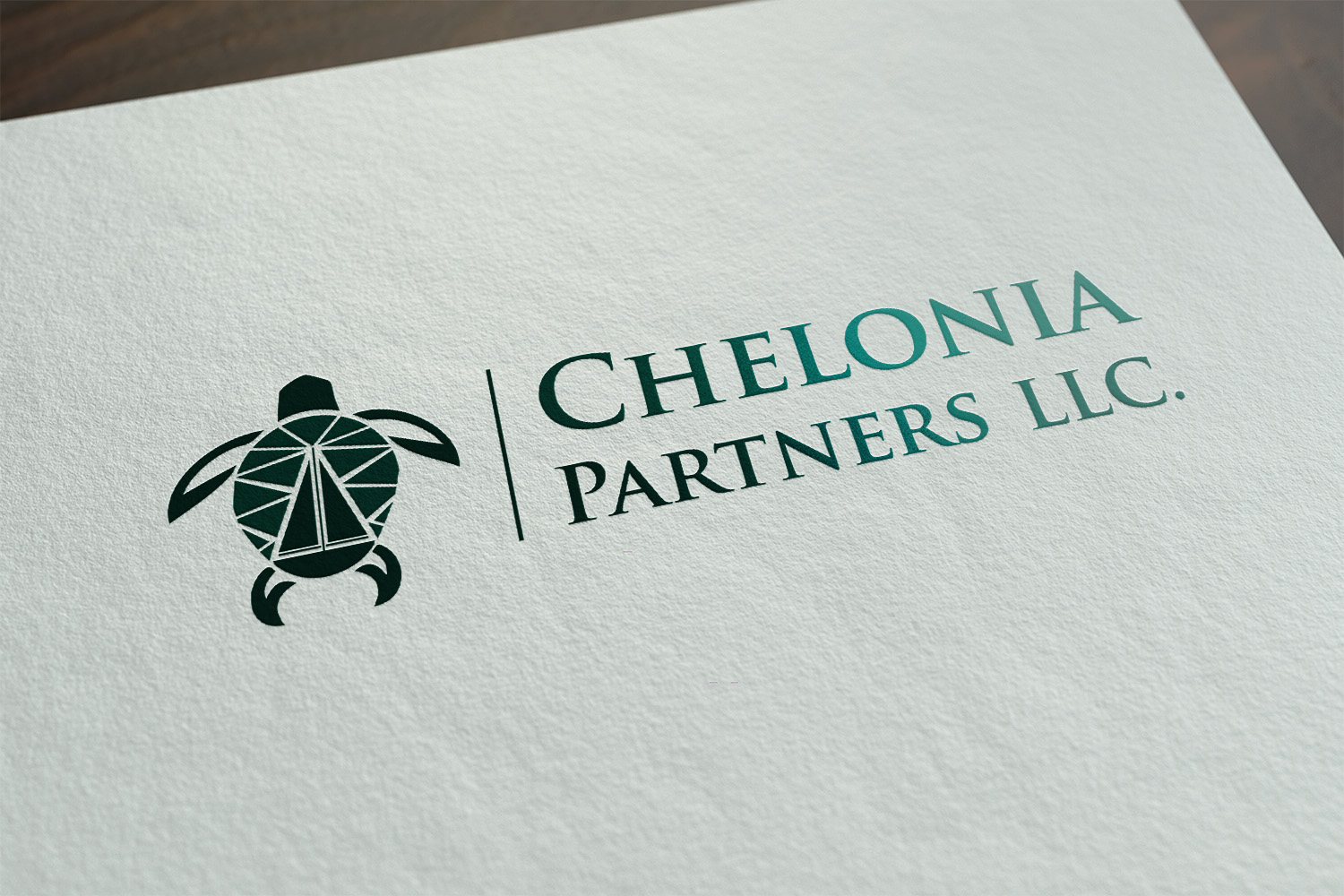 Logo Design by TTK for Twinfocus Capital Partners, LLC | Design #14525599