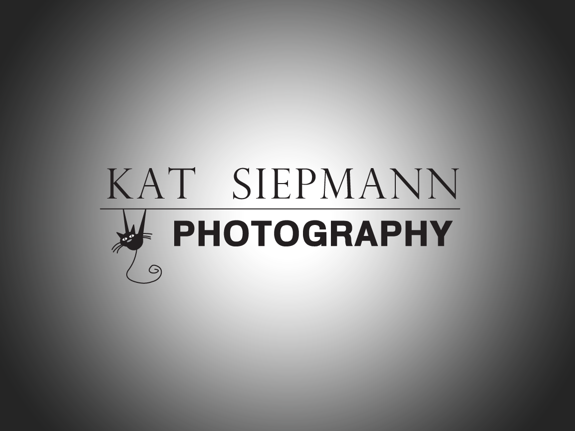 Logo Design by neboica for this project | Design #559917