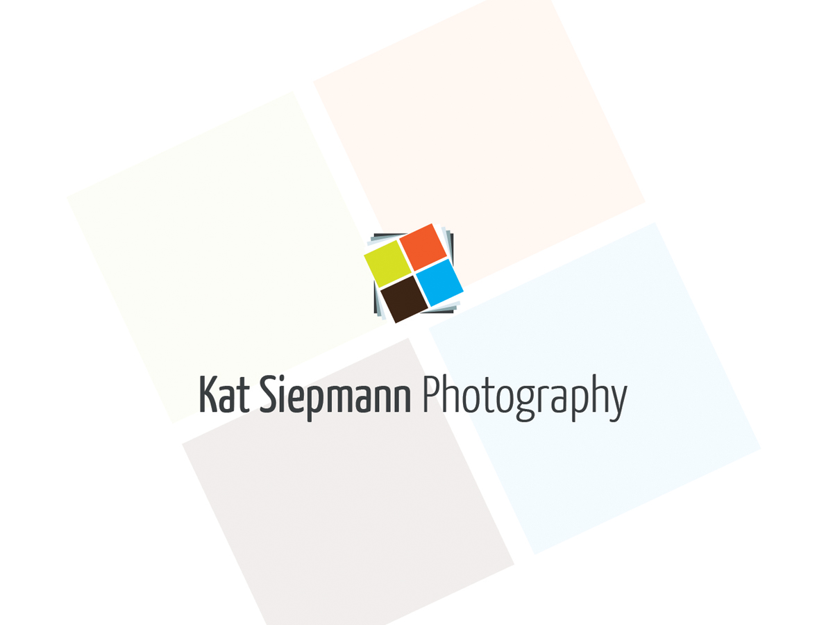 Logo Design by Paresh Bagkar for this project | Design #567024
