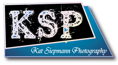 Logo Design by Scott Wilson for this project | Design #559894