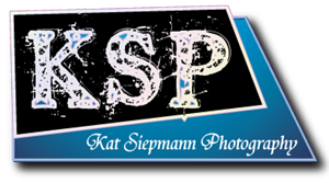 Logo Design by Scott Wilson