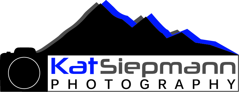 Logo Design by skyskier for this project | Design #562603
