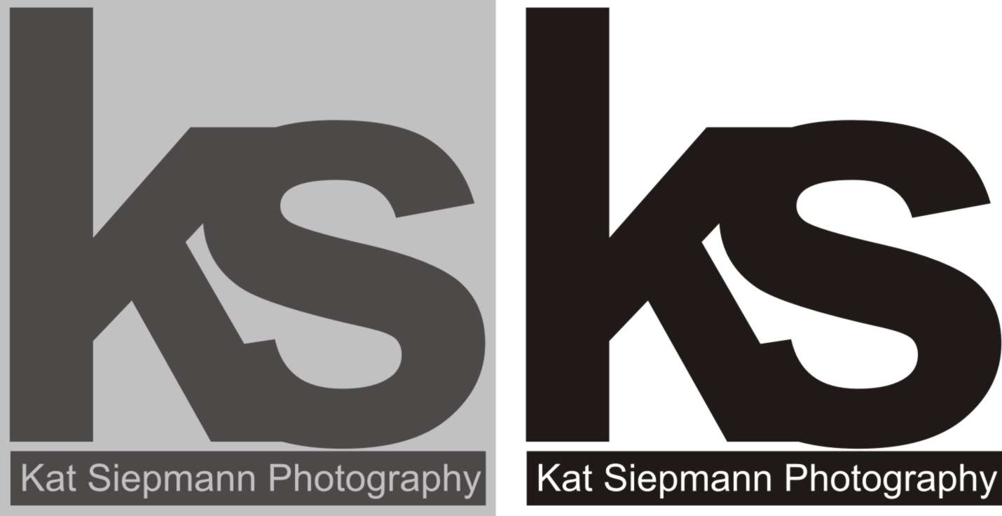 Logo Design by redlinecol for this project | Design #564563