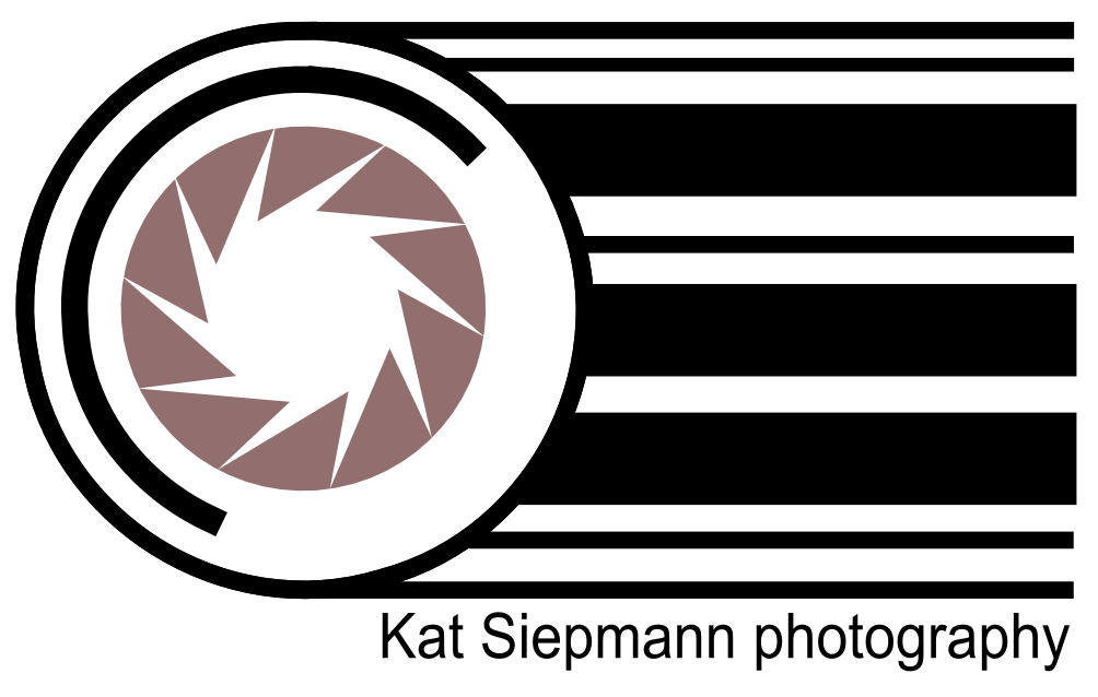 Logo Design by NSJ Design and Art Direction for this project | Design #567618