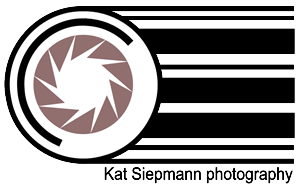Logo Design by NSJ Design and Art Direction