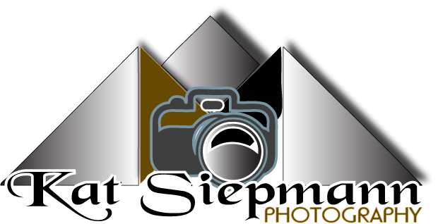 Logo Design by Invasion Graphics for this project | Design #561021