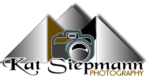 Logo Design by Invasion Graphics for this project | Design: #561021