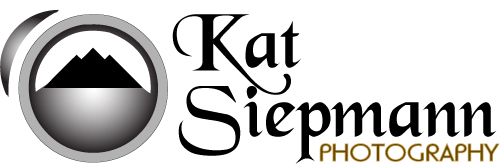 Logo Design by Invasion Graphics for this project | Design #561028