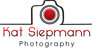 Logo Design by czadesign