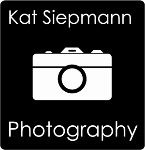 Logo Design by ThomasSundstrom for this project | Design: #562741