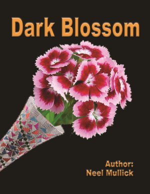 Book Cover Design by hscrowl