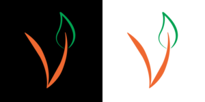 Logo Design by fexdesign