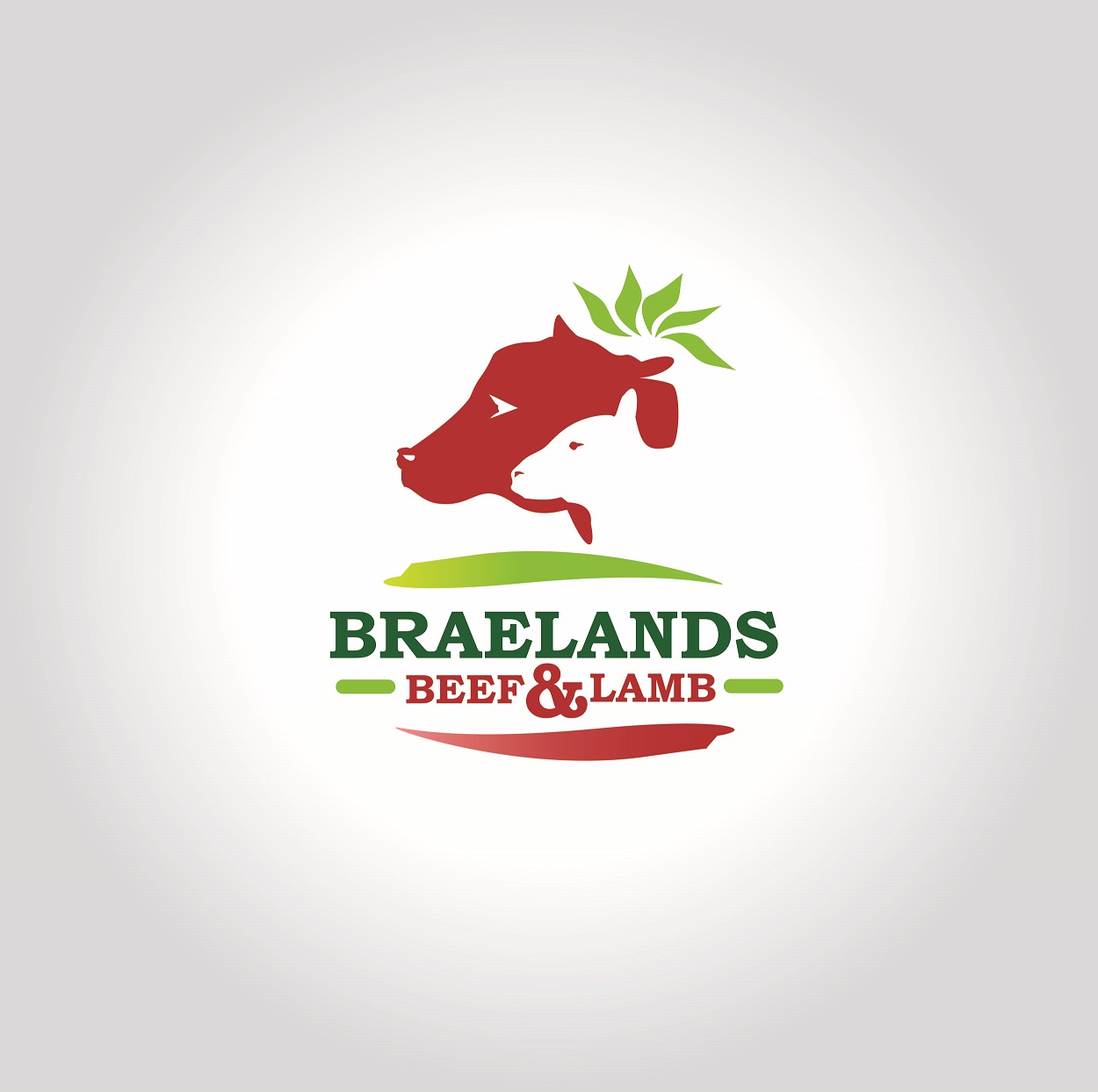 Logo Design by agps161 for Braelands Beef & lamb Pty Ltd | Design #14586702