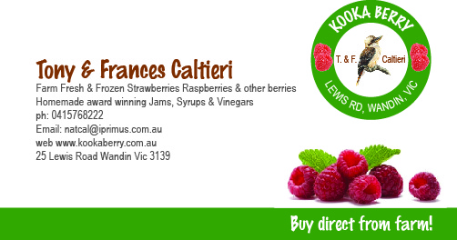 Business Card Design by Alex Petersen for this project | Design #2547643