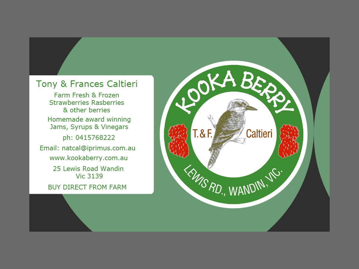 Business Card Design by ElephantDesign for this project | Design #2544834
