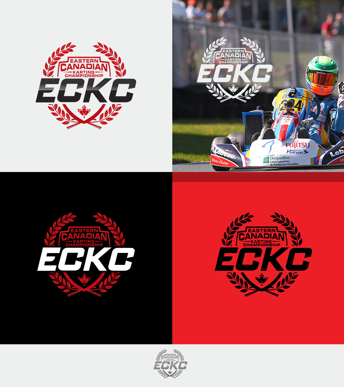 Diseño de Logo por ivan para este proyecto | Diseño #14633139