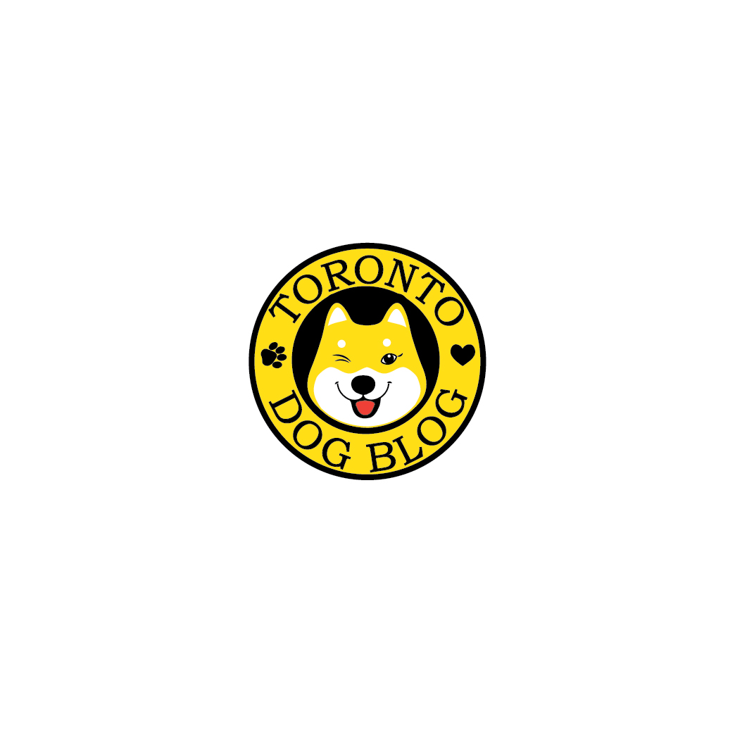 Logo-Design von Archaeologo für dieses Projekt | Design #14700784