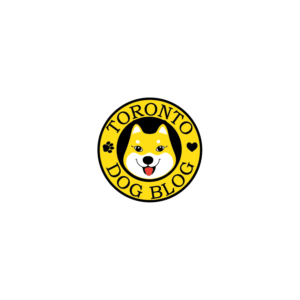 Logo-Design von Archaeologo für dieses Projekt | Design: #14700786