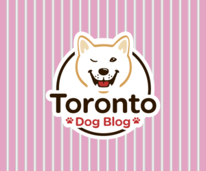 Logo Design by El Ojo creativo for this project | Design: #14620552