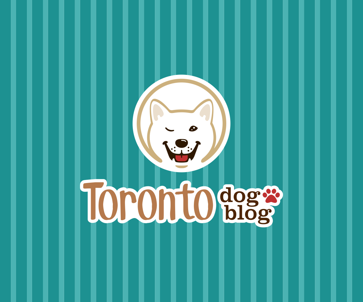 Diseño de Logo por El Ojo creativo para este proyecto | Diseño #14660482