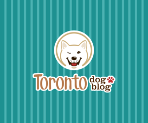 Logo-Design von El Ojo creativo für dieses Projekt | Design: #14660482