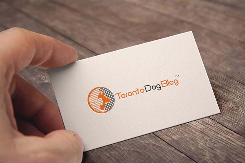 Design de Logo par esolztech pour ce projet | Design #14725384