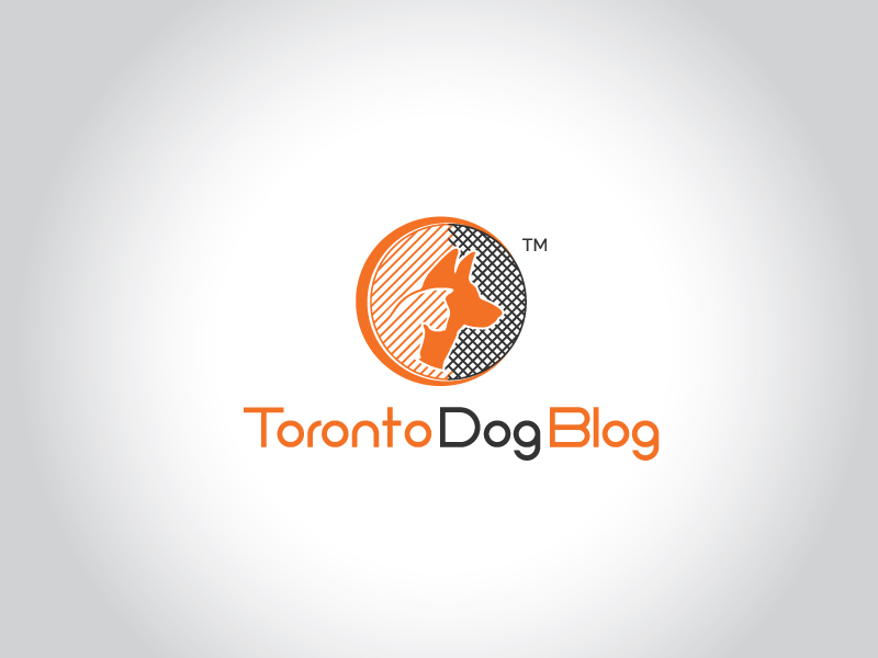 Design de Logo par esolztech pour ce projet | Design #14725385