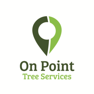 Logo Design by Ryan Jones Design