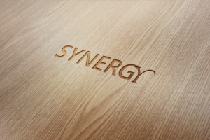 Logo Design by Top king  designer for Synergy Lighting & Control Solutions | Design: #14823299