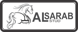 Logo Design by Kang Roe for this project | Design: #14654118