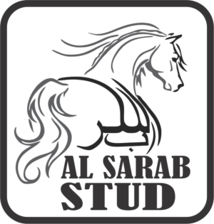 Logo Design by Kang Roe for this project | Design: #14654138