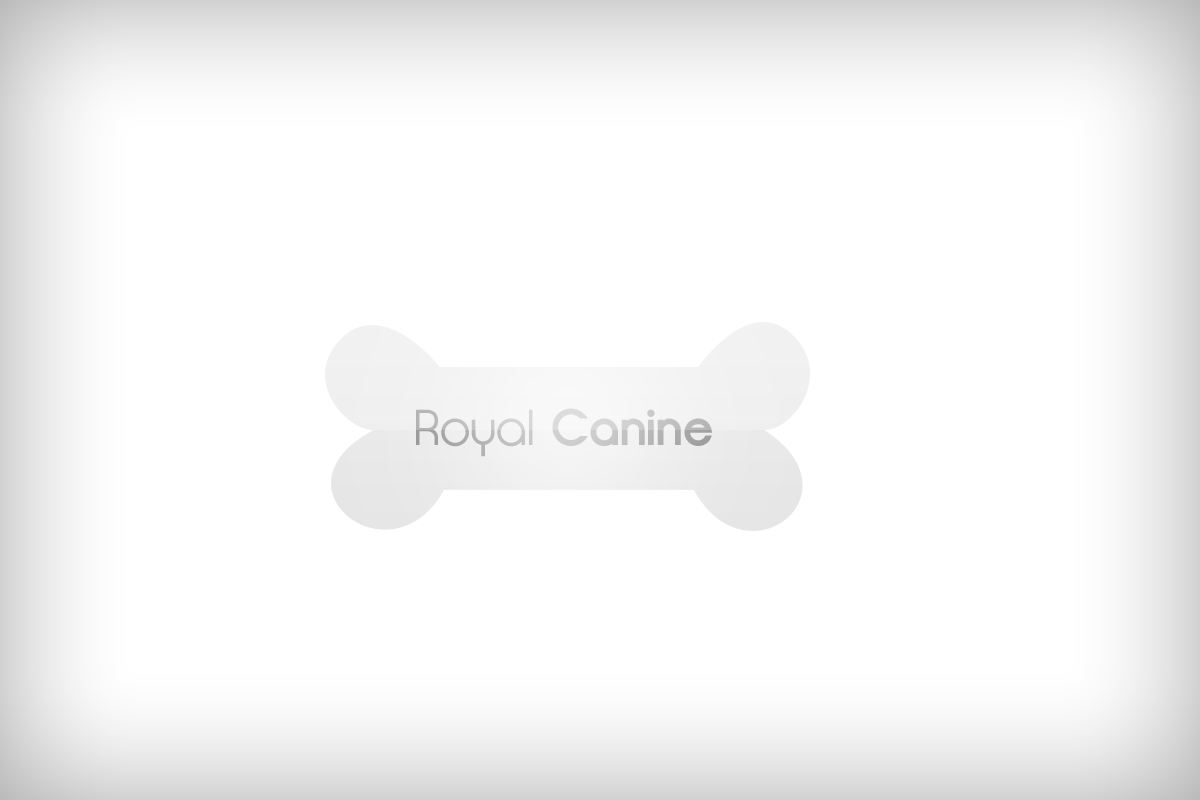 Logo Design by Attaf Othman for this project | Design #2527740