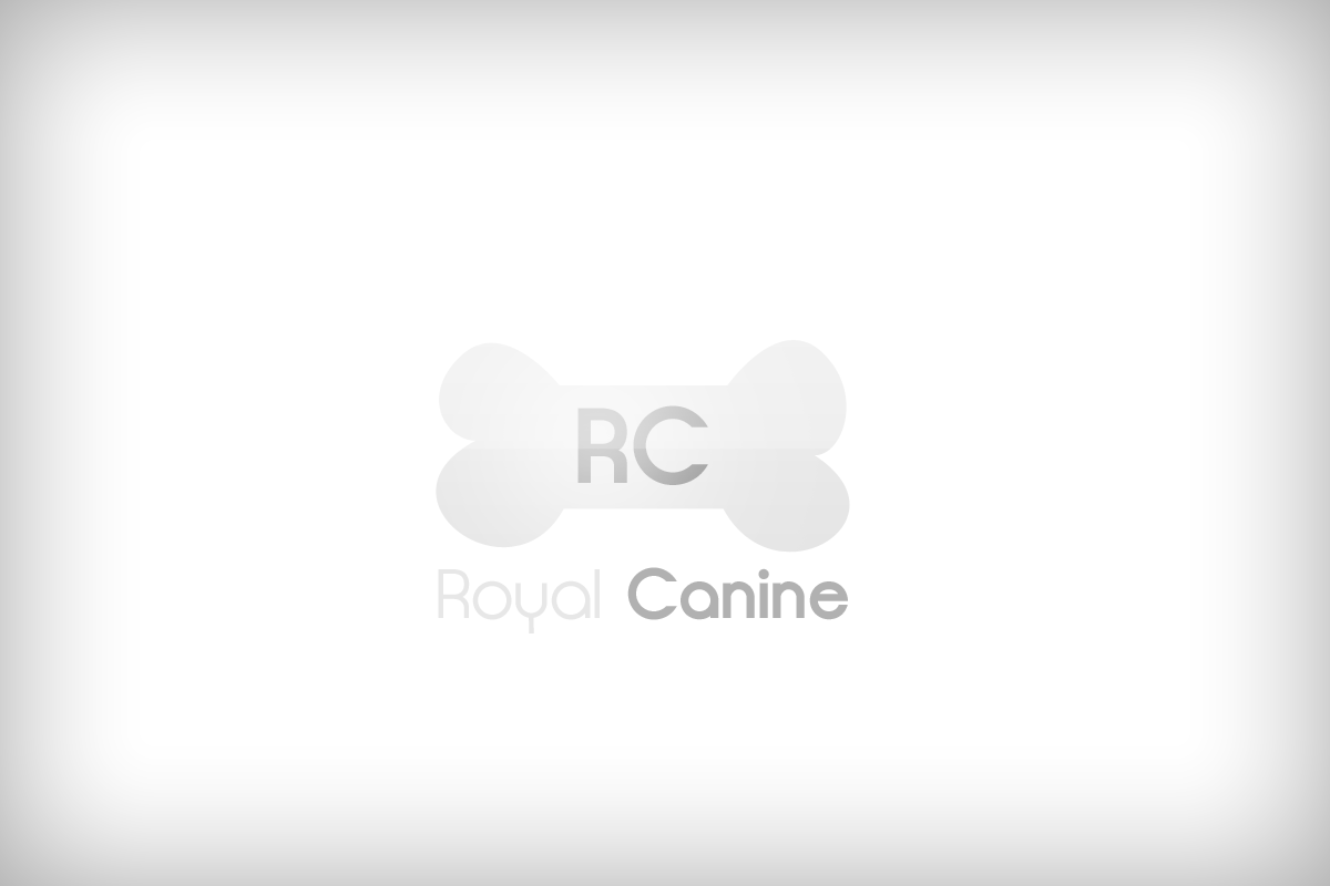 Logo Design by Attaf Othman for this project | Design #2527744