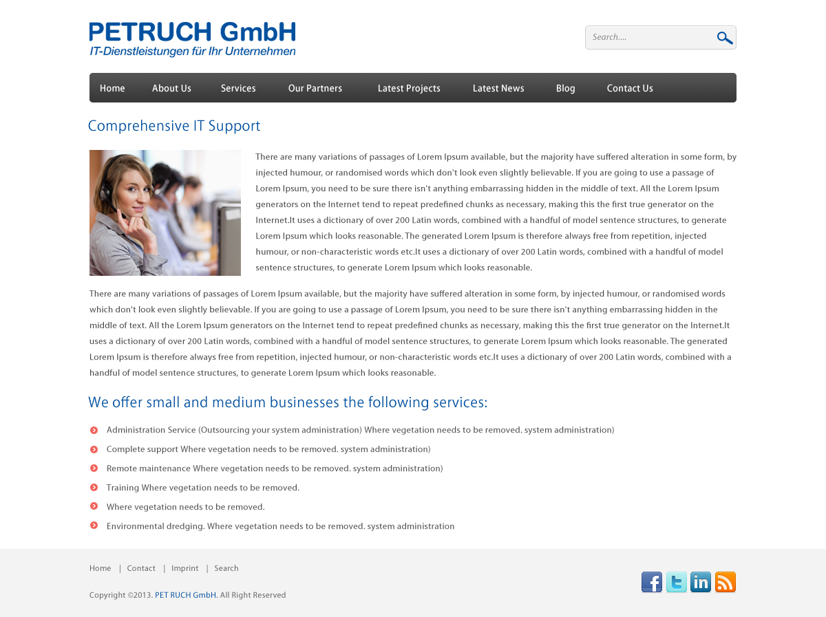 Web Design by pb for PETRUCH GmbH | Design #2556205