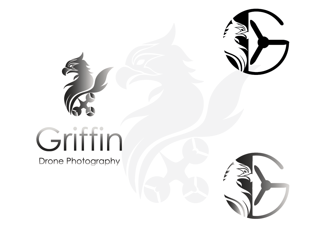 Logo Design by Preethu for The IT Fellas | Design #14621275