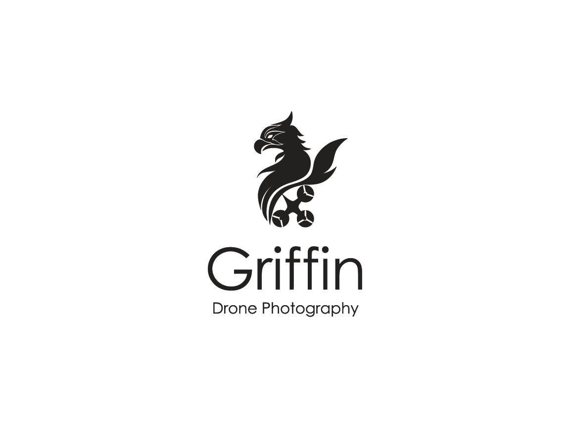 Logo Design by Preethu for The IT Fellas | Design #14621276
