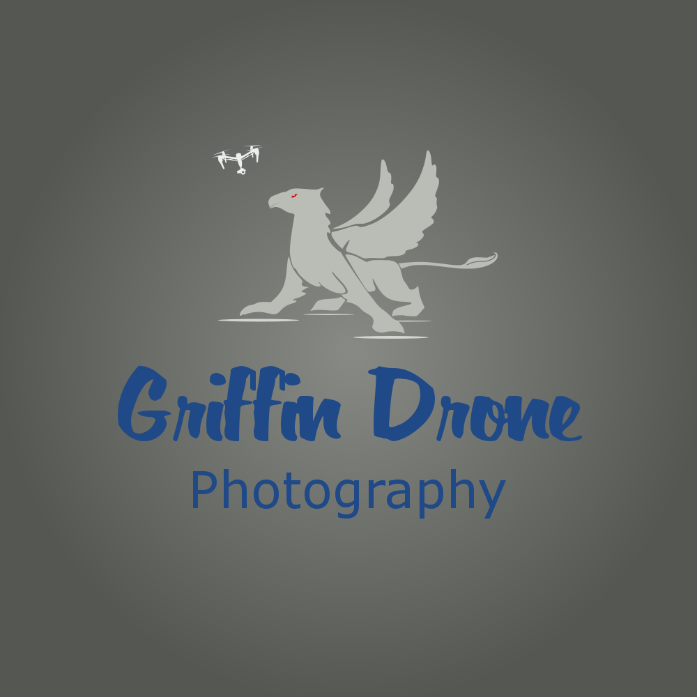 Logo-Design von nadianurika für The IT Fellas | Design #14585007