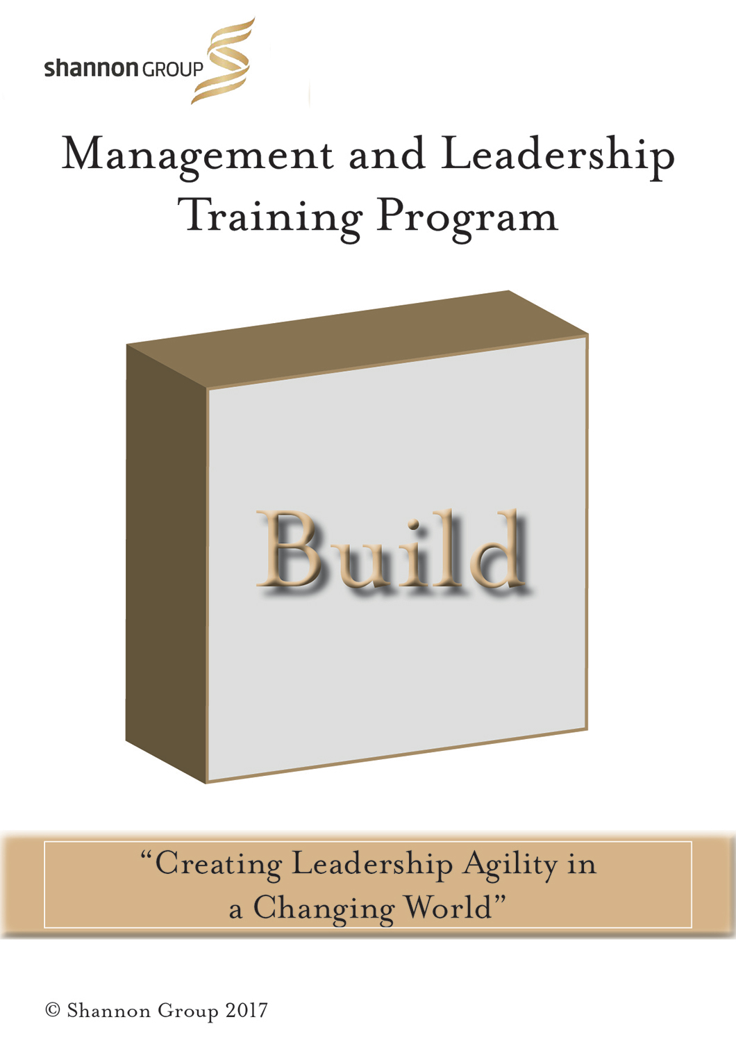 Flyer-Design von sgt0784 für Shannon Group | Design #14570075