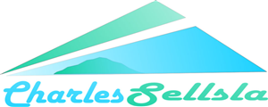 Logo Design by blue panda for CharlesIrvingHollywoodRealtor | Design: #2529501