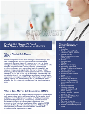 Brochure Design by barinix for this project | Design #2560579