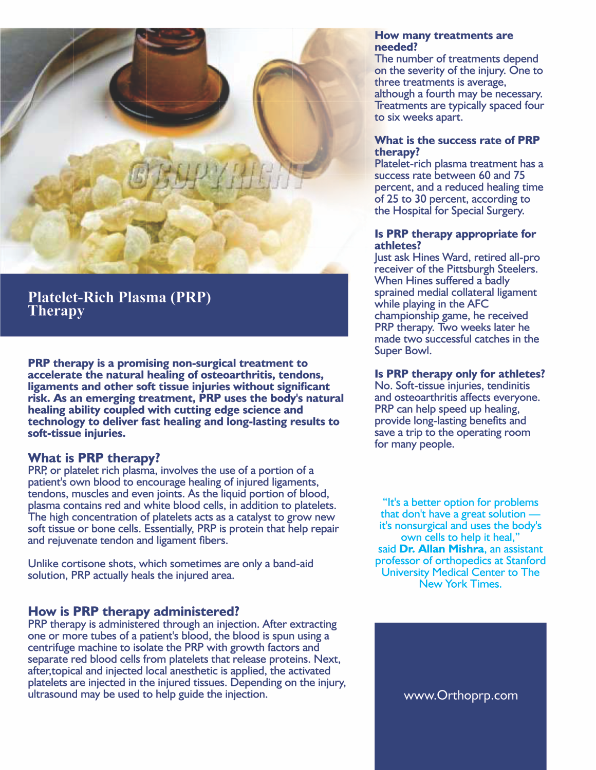 Brochure Design by barinix for this project | Design #2560586