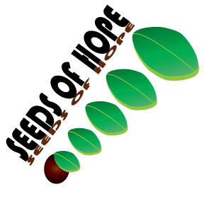 Diseño de Logo por Kelso Kreations para Street Hope/newhope church | Diseño #14605405