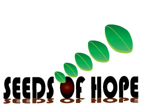 Logo Design by Kelso Kreations
